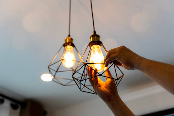 Best Electric Panel Repair  in Belle Rose, LA
